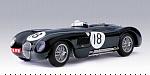 Jaguar C Type N.18 Winner Lm 1953 T.rolt/d.hamilton 1:18