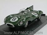 Jaguar D type Winner Le Mans 1955 Mike Hawthorn - Ivor Bueb