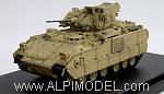 M2A2 ODS Bradley - 1-41 Infantry - 1st Armored Division - Iraq 2003 #71 (IRAQI FREEDOM COLLECTION)