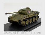 Captured Panther G Soviet Army Eastern Front 1945 1/72