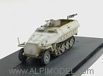 Sd.kfz.251/10 Ausf.d Eastern Front 1943 1/72