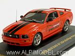 Ford Mustang GT - USA Stalling Police 2005