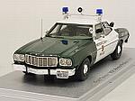 Ford Torino MDC Boston Police Department 1976