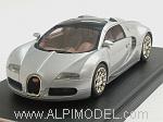 Bugatti Veyron Gran Sport 2008 (Silver)