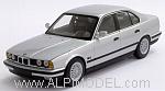 BMW Serie 5 1988 (535i) (Silver)