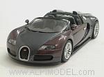 Bugatti Veyron Grand Sport 2009 (Violet & Grey Metallic)