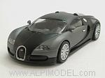 Bugatti Veyron 2009 'Linea Opaca'  (Matt Black/Matt Grey)