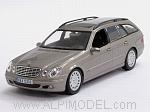 Mercedes E Class T-Model (Cubanite Silver metallic)