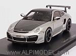 Porsche Techart GT Street R 2009 (Silver/Metallic Grey)