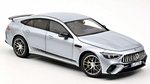 Mercedes AMG GT63 4matic 2021 (Silver)