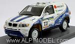 BMW X5 #221 Dakar 2003 Luc Alphand - Stevenson