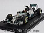 Mercedes F1 W05 Winner GP China 2014 World Champion Lewis Hamilton