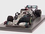Mercedes W11 AMG #44 Test Barcelona 2020 Lewis Hamilton