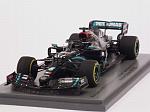 Mercedes W11 #44 Winner GP Styria 2020 Lewis Hamilton World Champion
