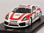 Porsche Cayman GT4 #70 R-GT Rally Germany 2018 Romain Dumas