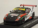 Porsche 911 GT3 Cup  Pfaff Motorsports #9 2017 Scott Hargrove (Porsche Promo)