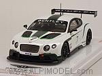 Bentley Continental GT3 #7 Goodwood Festival of Speed 2013 by TRUE SCALE MINIATURES